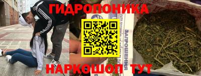 сатива Гатчина