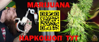 сатива Гатчина