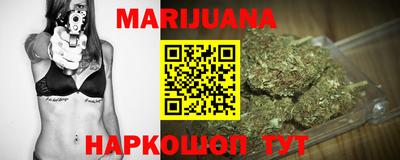сатива Гатчина