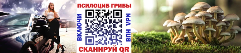 Галлюциногенные грибы ЛСД Избербаш