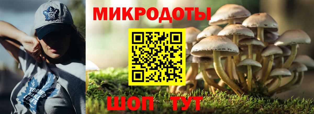 Галлюциногенные грибы Cubensis  Вход с VPN  Псилоцибиновые грибы мухоморы  Избербаш 