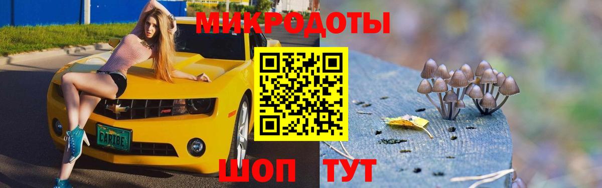 Галлюциногенные грибы Cubensis Избербаш