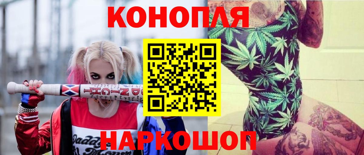 Канабис гибрид  Избербаш  Бошки Шишки семена  Бошки Шишки White Widow 